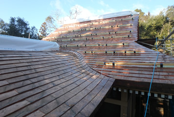 写真：屋根の完成