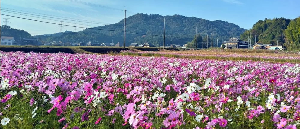 写真：山上 庚申さん