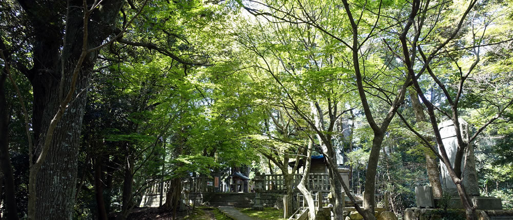 写真：山上 庚申さん